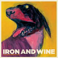 iron & wine