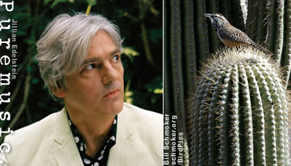 Robyn Hitchcock and a cactus wren