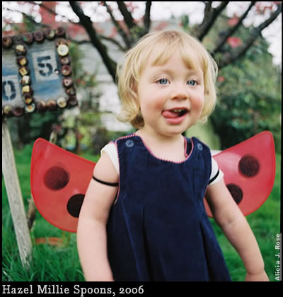 Zillie Spoons