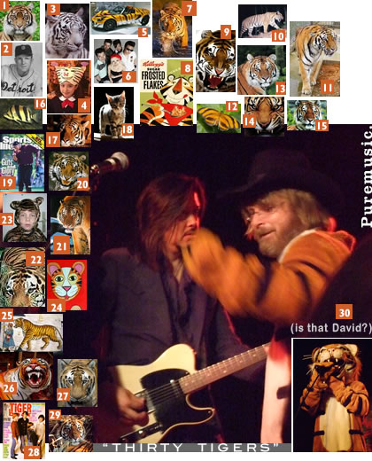 "30 Tigers" (is that David?)