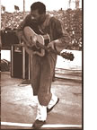 Woodstock