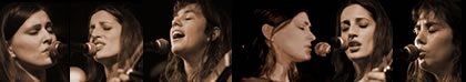 The Walin' Jennys