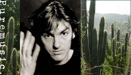 Robyn Hitchcock