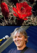 Robyn Hitchcock