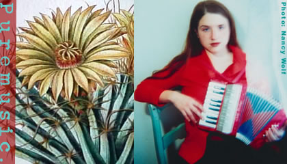 Jolie Holland