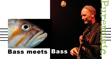 photo of Michael Rhodes by Rick Malkin